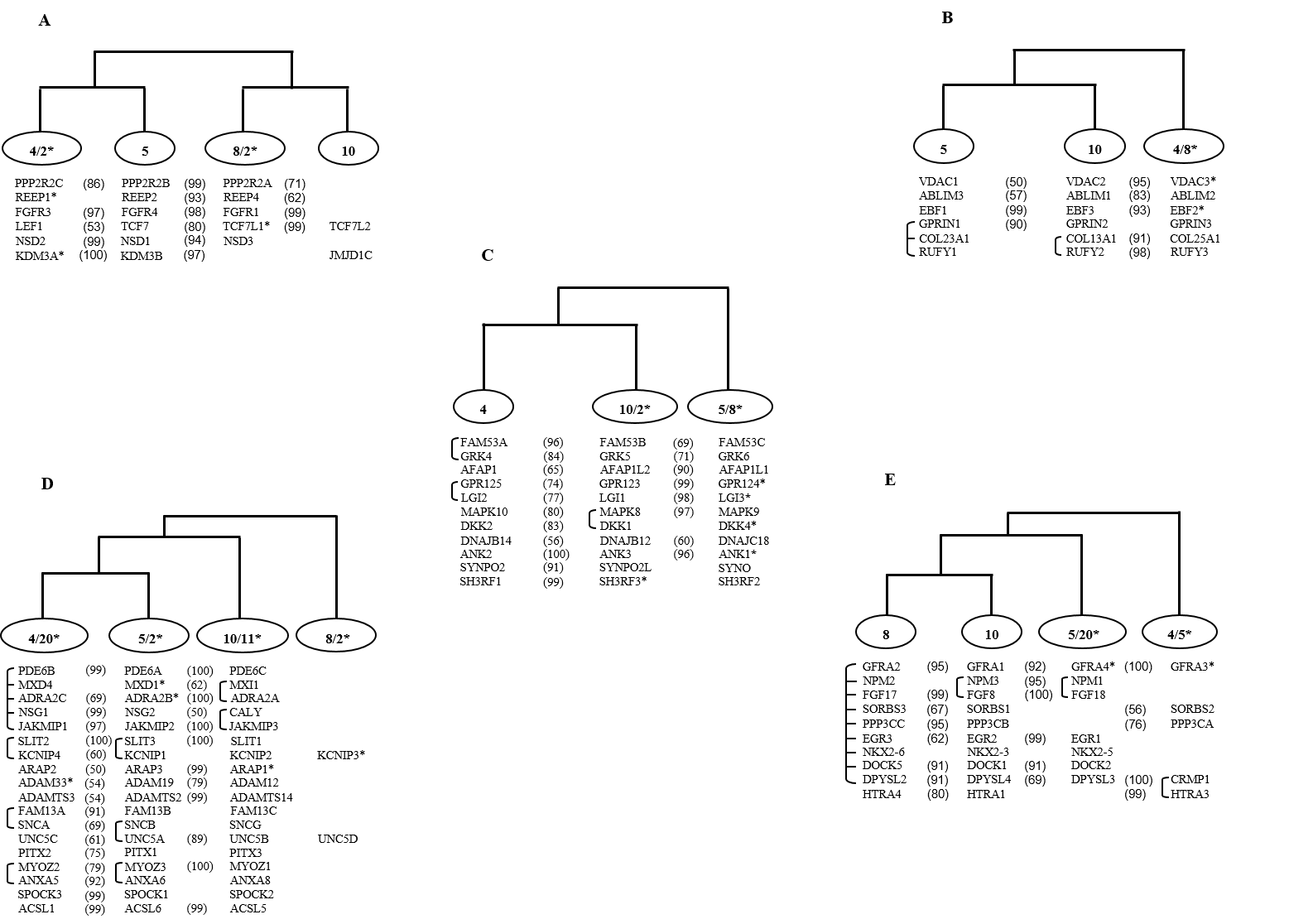 fgfr coduplicated groups