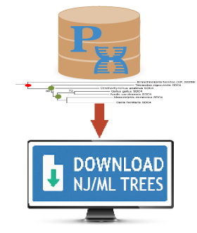 compressed tree file